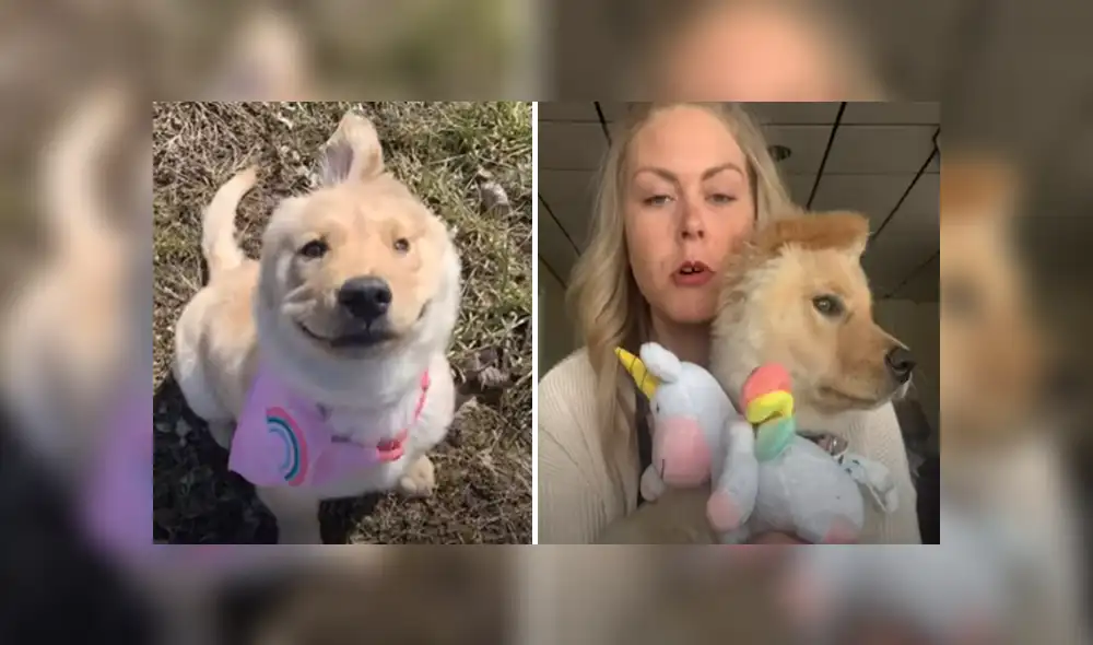 Desliza hacia la izquierda para ver las imágenes del viral de Facebook. Foto: Captura.