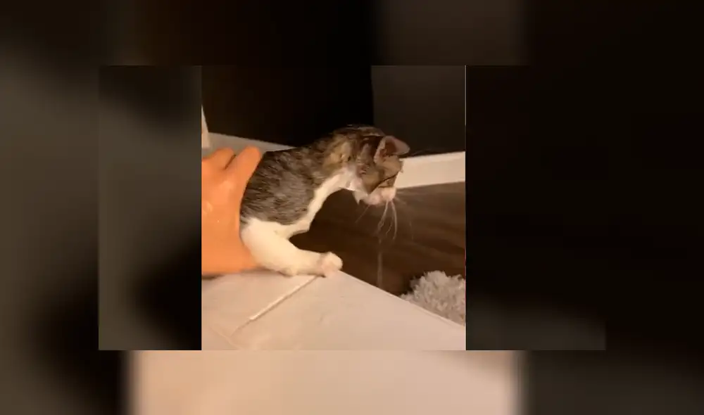 Desliza para ver la secuencia de imágenes de TikTok. Foto: hails_yeah__ Desliza para ver la secuencia de imágenes de TikTok. Foto: hails_yeah__