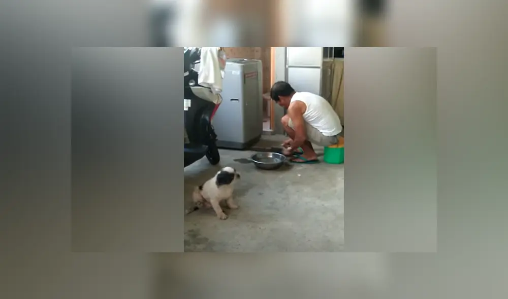 Desliza hacia la izquierda para ver la escena que causó furor en Facebook.