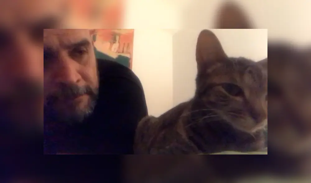 En Facebook, un señor estaba cansado que su gato despierte temprano y le hizo una inesperada súplica. En Facebook, un señor estaba cansado que su gato despierte temprano y le hizo una inesperada súplica.