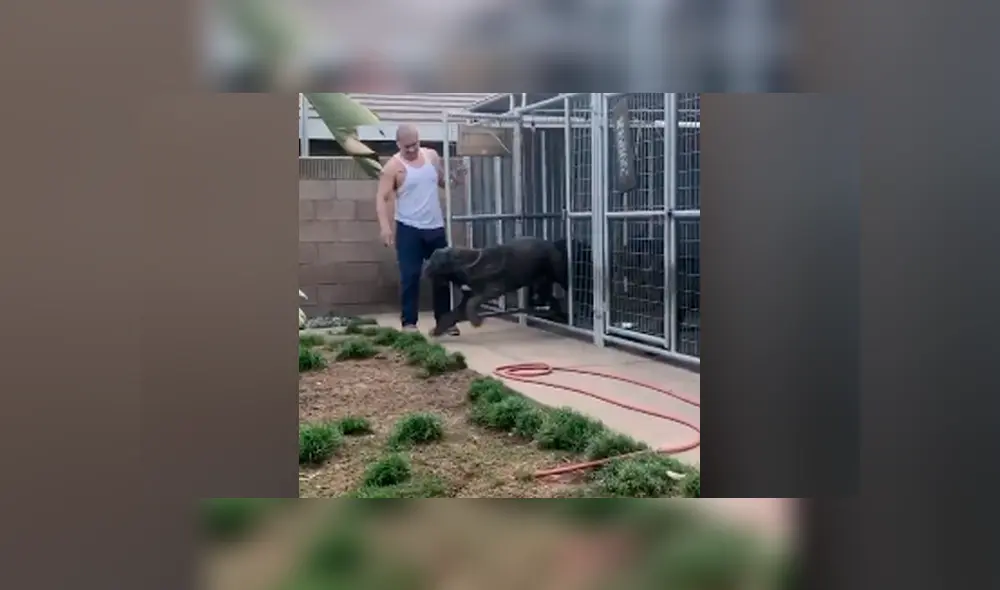 Desliza para ver todas las imágenes compartidas en Facebook. Foto: captura