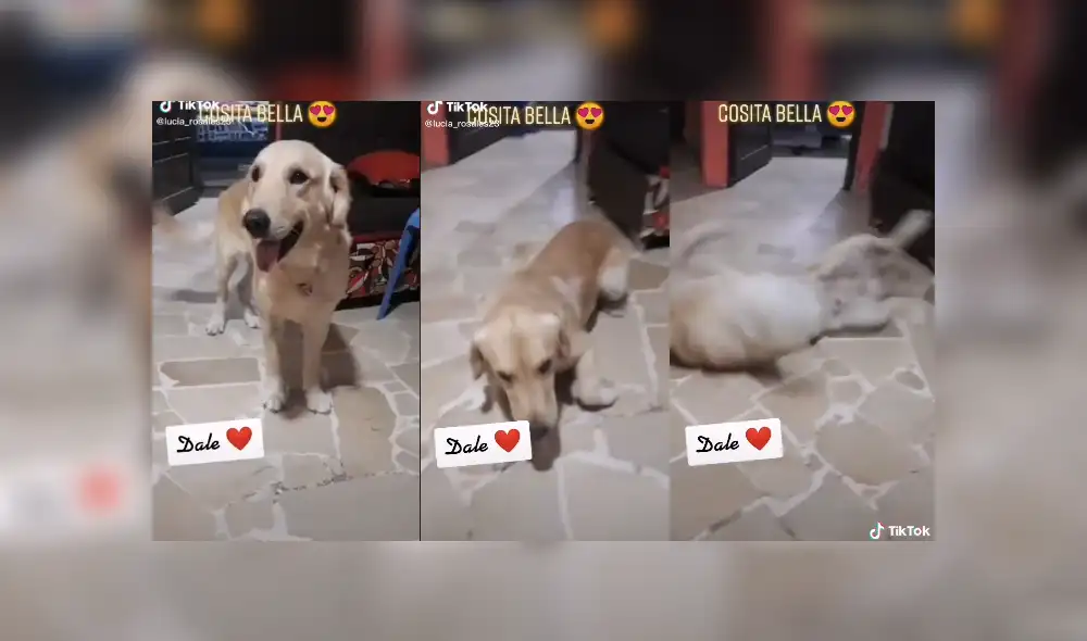 Desliza para ver el desenlace de este video viral publicado en YouTube. Foto: Captura. Desliza para ver el desenlace de este video viral publicado en YouTube. Foto: Captura.