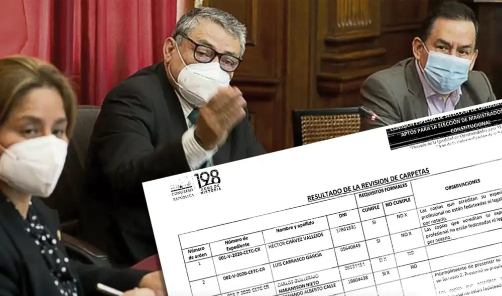 Tribunal Constitucional