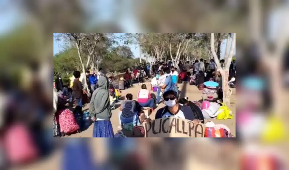 Créditos: URPI-GLR. Créditos: URPI-GLR.