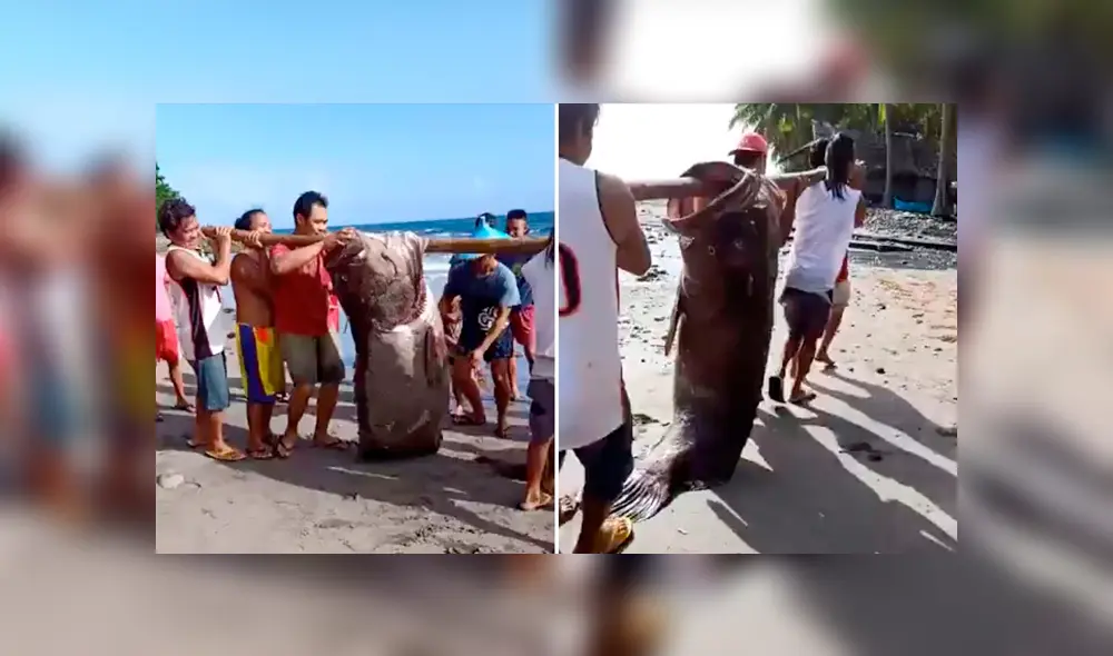 Desliza para ver los detalles del video viral de YouTube. Foto: Captura. Desliza para ver los detalles del video viral de YouTube. Foto: Captura.