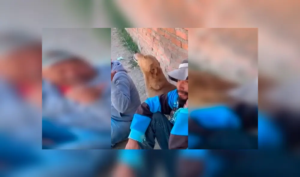 En Facebook, un perro acompañó a unos sujetos que escuchaban música y tomaban bebidas alcohólicas. En Facebook, un perro acompañó a unos sujetos que escuchaban música y tomaban bebidas alcohólicas.