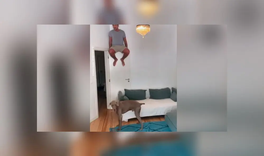 Desliza las imágenes para ver la curiosa reacción que tuvo un gato y un perro ante la peculiar broma de su dueño. Foto: Woof Woof