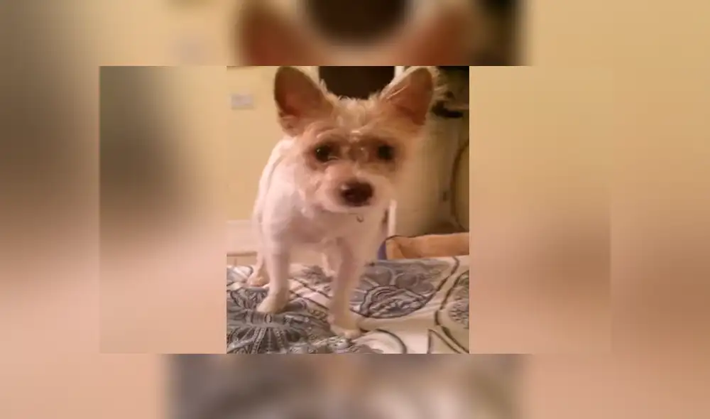 Desliza para ver los momentos más divertidos del video que se hizo viral en Facebook.