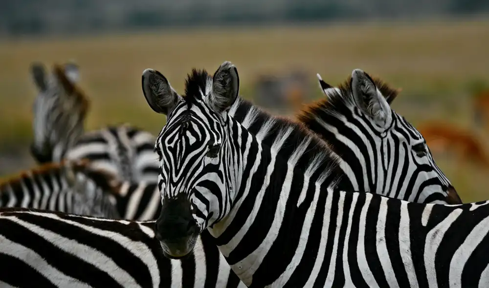 Foto: referencial/AFP