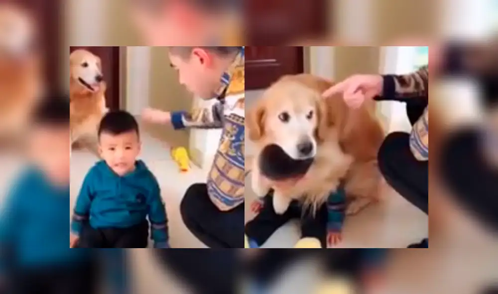 Facebook viral: tierno perro protege a su pequeño dueño ante el ataque de su padre [VIDEO]