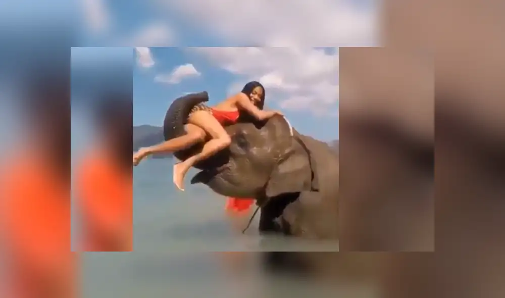 Facebook viral: Intenta tomarse foto sobre la trompa de un elefante y este la deja en ridículo [VIDEO]