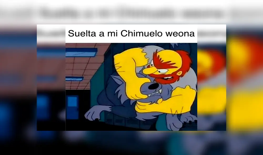 Vía Facebook: divierte con la mejor selección de memes de 'Adiós Chimuelo', el video del momento [FOTOS]