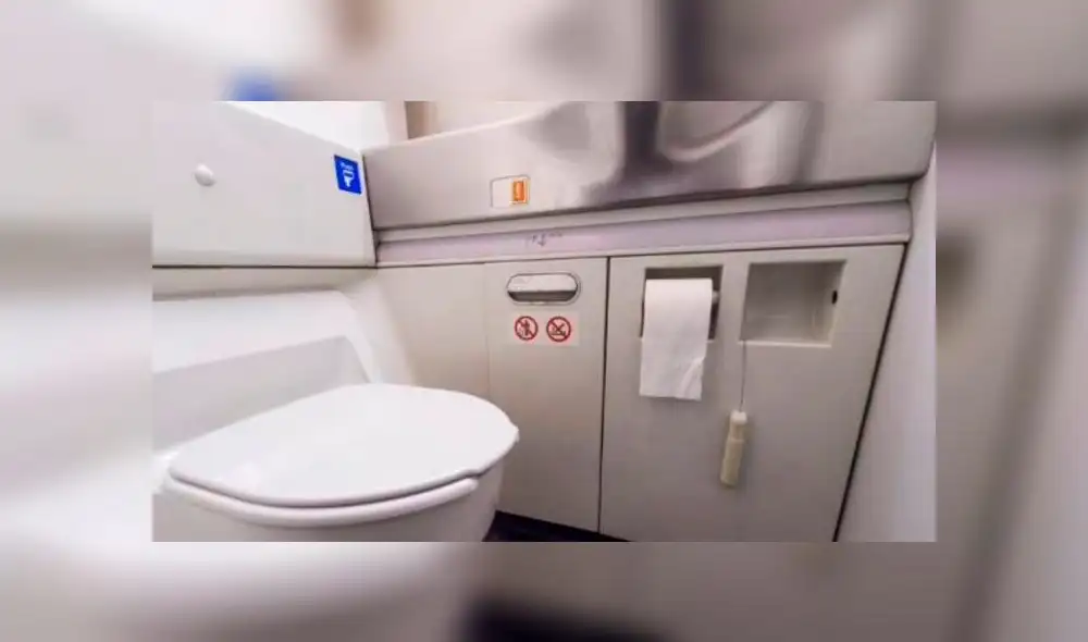 Pasajeros informaron sobre el inusual hallazgo a través de Twitter. Foto: Duane T. Swamp / Twitter Pasajeros informaron sobre el inusual hallazgo a través de Twitter. Foto: Duane T. Swamp / Twitter