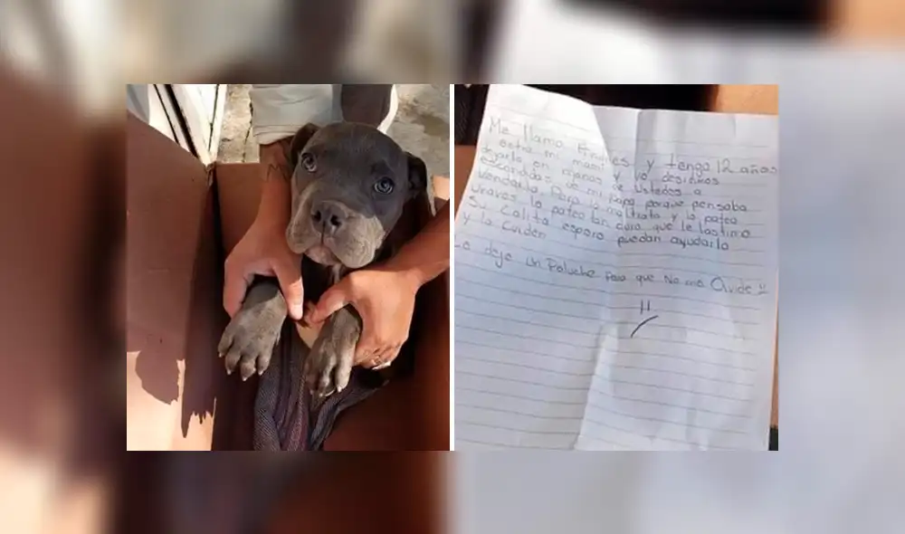 Niño escribe conmovedora carta tras dar a su perrito en adopción para evitar que su padre lo maltrate [FOTOS]