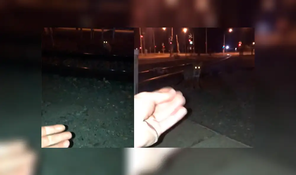 Facebook: joven encuentra a zorro salvaje en la calle, intenta acariciarlo y sufre terrible mordida