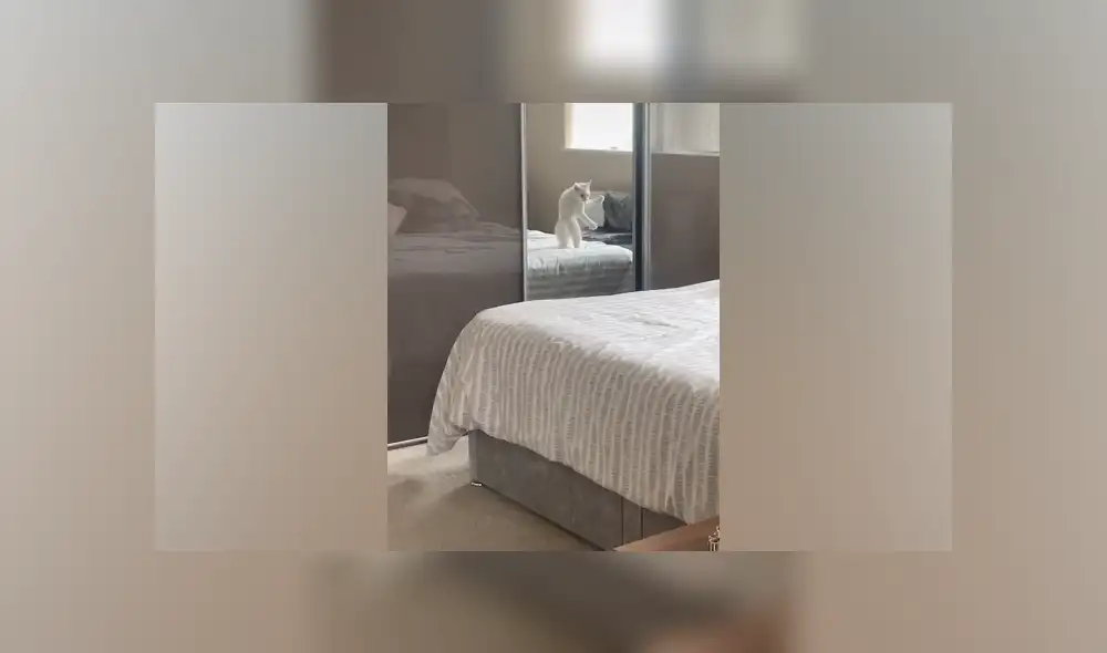 Desliza hacia la izquierda para ver las imágenes del viral de Facebook. Foto: Captura. Desliza hacia la izquierda para ver las imágenes del viral de Facebook. Foto: Captura.