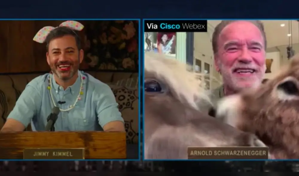 El presentador no pudo evitar reírse al ver a los animales. (Foto: Captura)