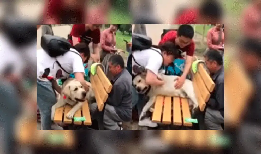 Desliza para ver las imágenes del divertido rescate. Foto: captura AsiaWire.