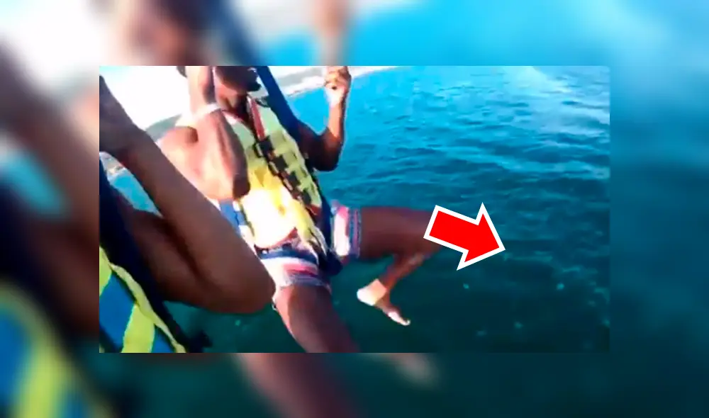 El video viral de Facebook muestra el momento en que los turistas se toparon con las venenosas criaturas que estaban dentro del mar.