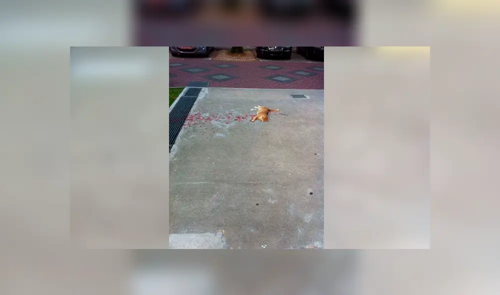 Desliza para ver los detalles de esta historia que se viralizó en Facebook. Foto: Captura. Desliza para ver los detalles de esta historia que se viralizó en Facebook. Foto: Captura.