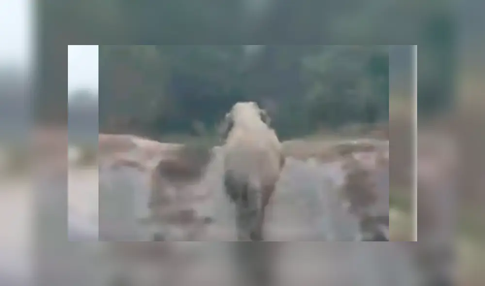 Desliza hacia la izquierda para ver más del video viral Desliza hacia la izquierda para ver más del video viral