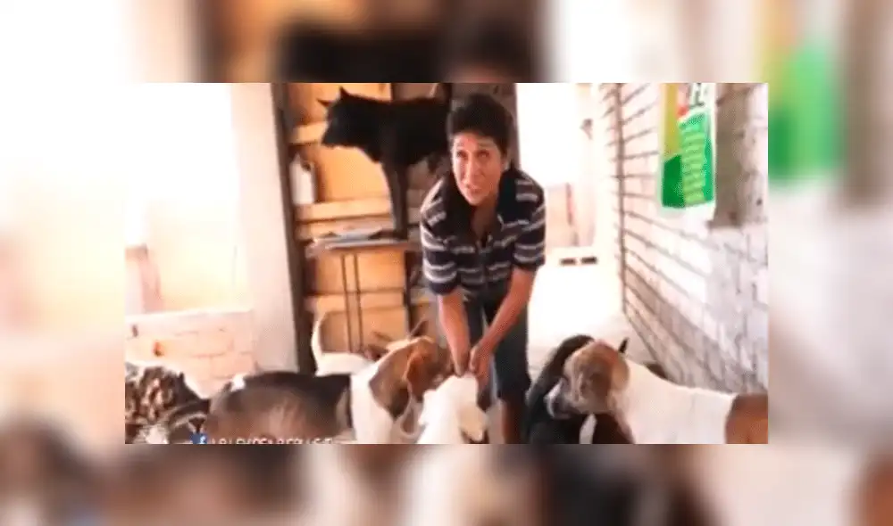 VMT: mujer convirtió su casa en albergue para perros sin hogar [VIDEO]