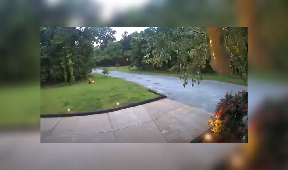 Desliza hacia la izquierda para ver las imágenes del viral de Facebook. Desliza hacia la izquierda para ver las imágenes del viral de Facebook.