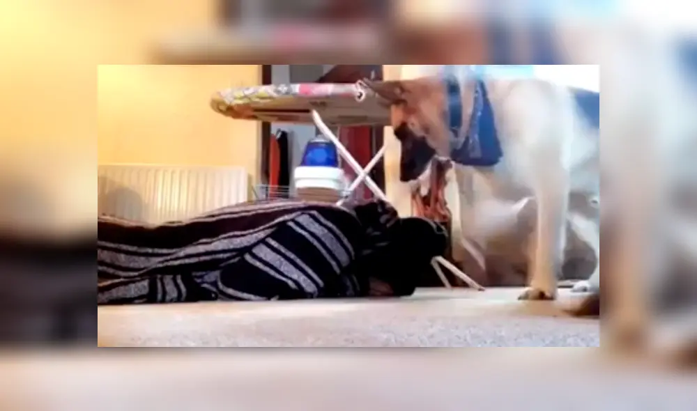 Desliza hacia la izquierda para ver más del video viral. Fotocaptura: YouTube Desliza hacia la izquierda para ver más del video viral. Fotocaptura: YouTube