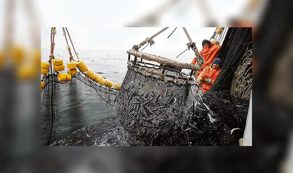 Estado exige S/ 66 mllns de reparación al “Rey de la pesca negra” y tribunal lo rebaja a solo S/ 100 mil