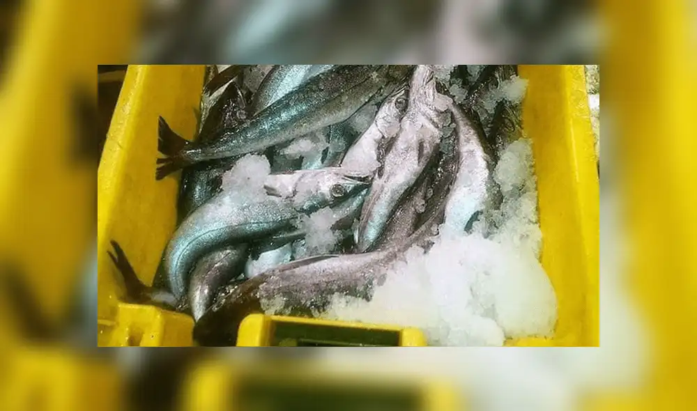 El Agustino: venderán pescado a precio bajo El Agustino: venderán pescado a precio bajo