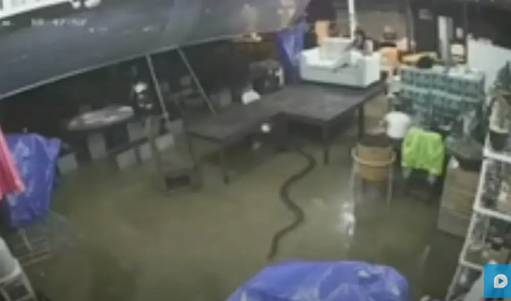 Desliza hacia la izquierda para ver las imágenes del video viral. Foto: captura de YouTube.