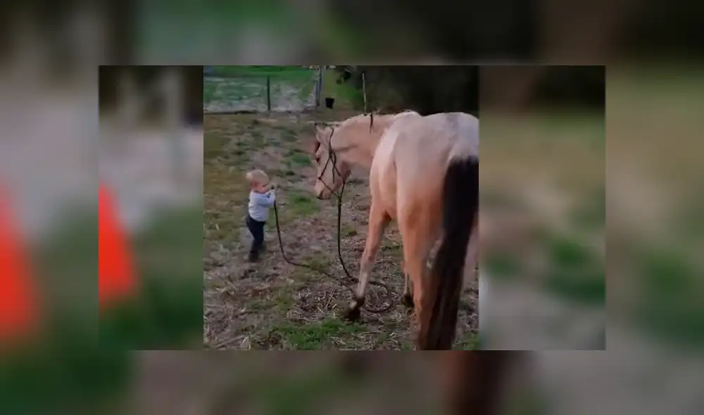 Video viral de YouTube muestra el singular momento en que un bebé guía a un enorme caballo sin temor alguno