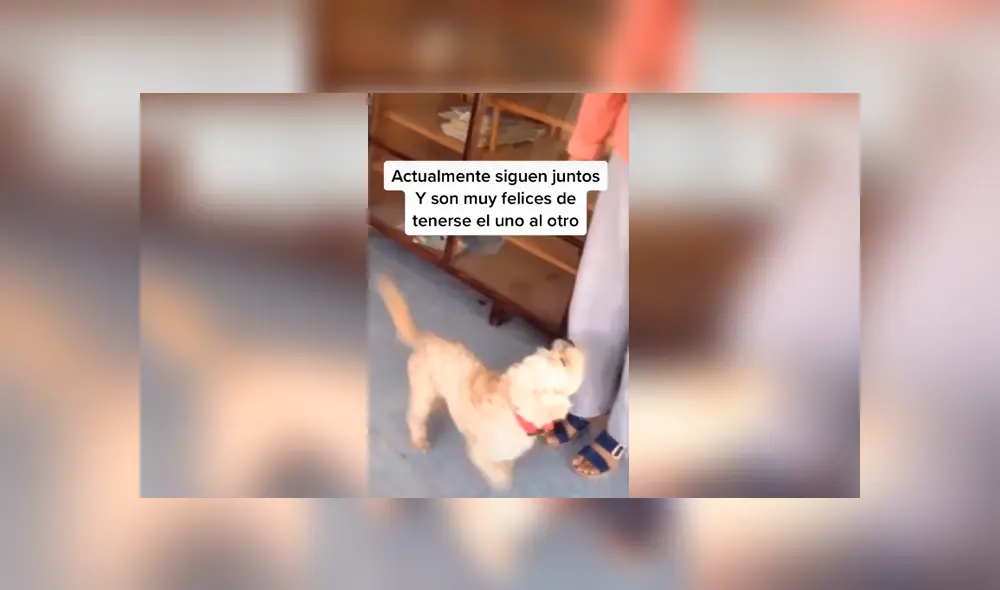 Desliza las imágenes para conocer la conmovedora historia de un perro que recibió ayuda tras ser atropellado. Fotocaptura: Facebook. Desliza las imágenes para conocer la conmovedora historia de un perro que recibió ayuda tras ser atropellado. Fotocaptura: Facebook.