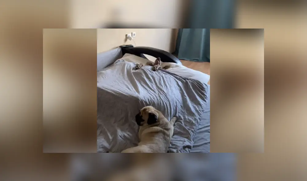 Desliza hacia la izquierda para ver las imágenes del viral de YouTube. Foto: Captura.