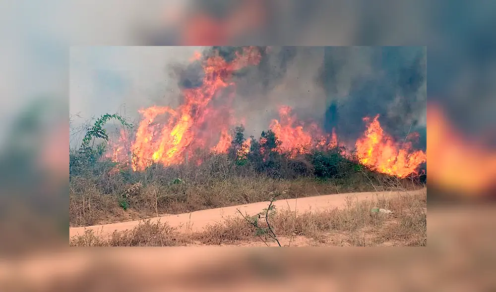 Bolívar, equipo que disputa la Primera División del fútbol boliviano, hará una importante donación para controlador el incendio en el Amazonas.