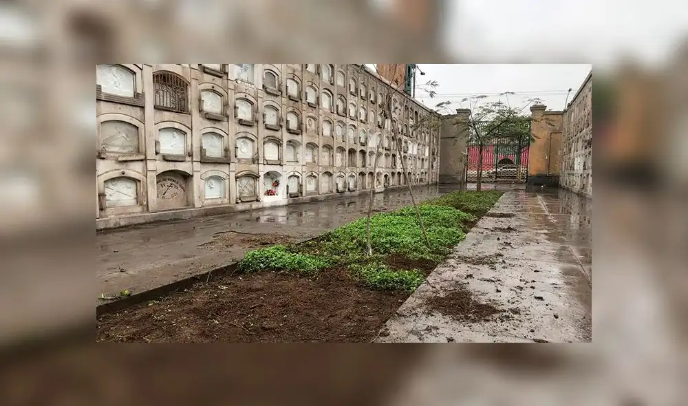 Recuperarán áreas verdes del Museo Cementerio Presbítero Maestro [FOTOS]