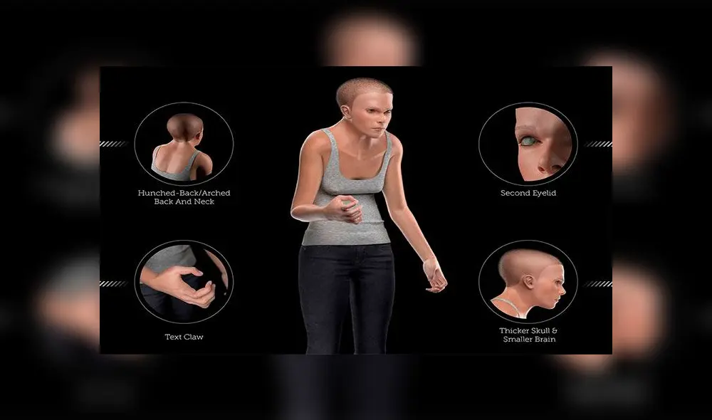 El modelo 3D Mindy presenta cambios importantes en la espalda, manos, cráneo, codos y ojos. Foto: TollFreeForwarding.