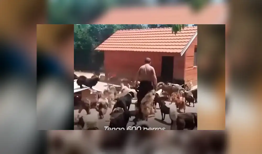 Desliza hacia la izquierda para ver el video viral de YouTube que muestra a los 600 perros junto a su dueño. Desliza hacia la izquierda para ver el video viral de YouTube que muestra a los 600 perros junto a su dueño.