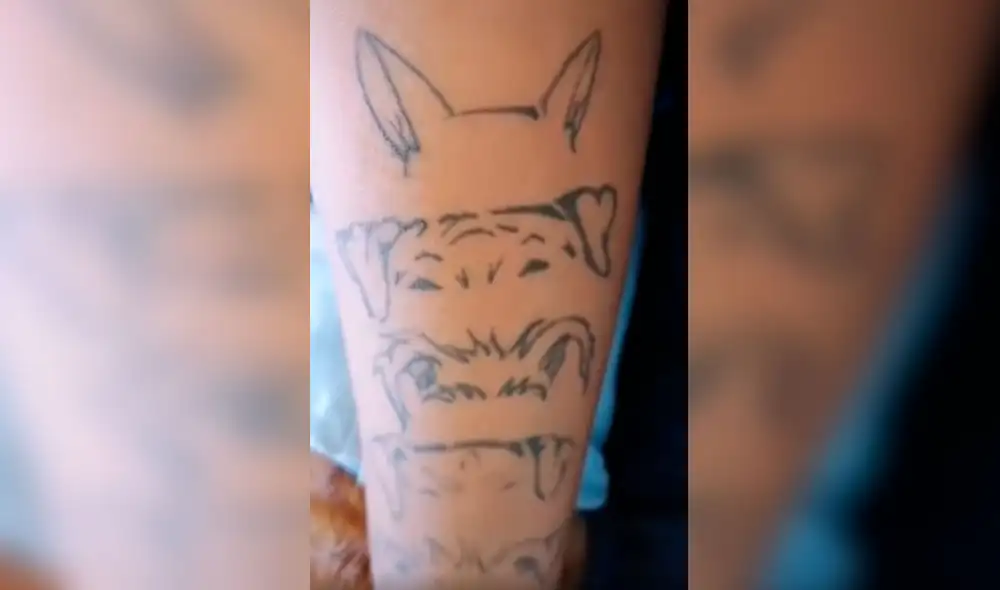 Desliza las imágenes para conocer el tierno gesto que tuvo una joven al hacerse unos tatuajes inspirados en sus perros. Foto: captura de Facebook