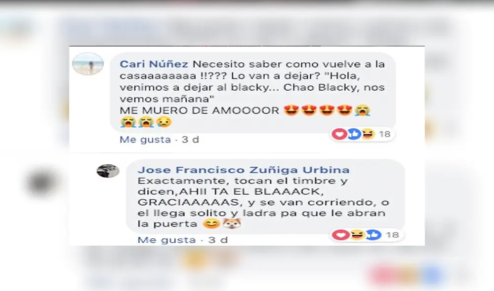 Facebook viral: niños sorprenden al pedirle a hombre permiso para que su perro pueda salir a jugar  [VIDEO]