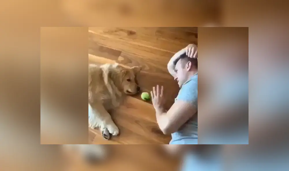 A través de Facebook se ha vuelto viral la curiosa reacción de un soñoliento perro al ver que su dueño quería jugar con él.