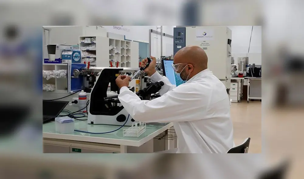 Los investigadores analizaron la actividad antiviral de heparina y fucoidanos extraídos de algas marinas. Foto: EFE (referencial) Los investigadores analizaron la actividad antiviral de heparina y fucoidanos extraídos de algas marinas. Foto: EFE (referencial)