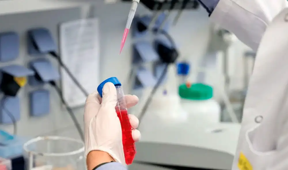 Según el informe, miles de empleados públicos serán formados en la inoculación de vacunas antes de fin de año. Foto: Efe