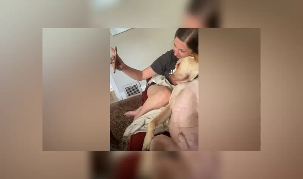 Desliza hacia la izquierda para ver las imágenes del viral de YouTube. Desliza hacia la izquierda para ver las imágenes del viral de YouTube.