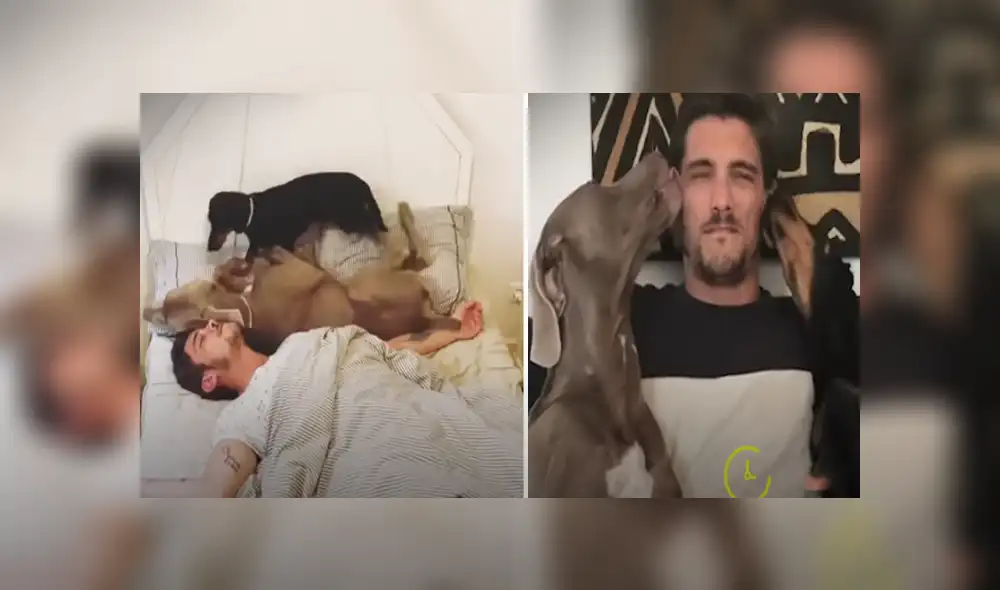 Desliza hacia la izquierda para ver las imágenes del viral de Facebook. Desliza hacia la izquierda para ver las imágenes del viral de Facebook.