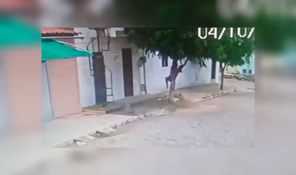 La enfurecida esposa buscó al hombre por todos lados, hasta que él cometió un error y su ella lo encontró. Foto: captura La enfurecida esposa buscó al hombre por todos lados, hasta que él cometió un error y su ella lo encontró. Foto: captura