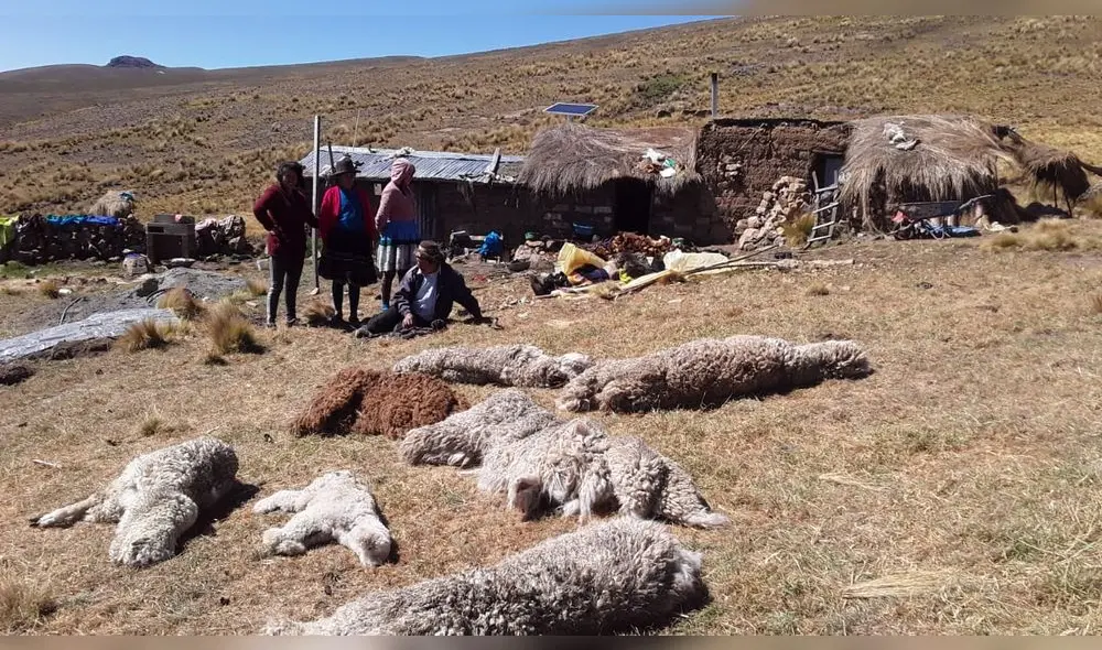 Dramática foto y el pedido de ayuda llegó a nuestra redacción. Dramática foto y el pedido de ayuda llegó a nuestra redacción.