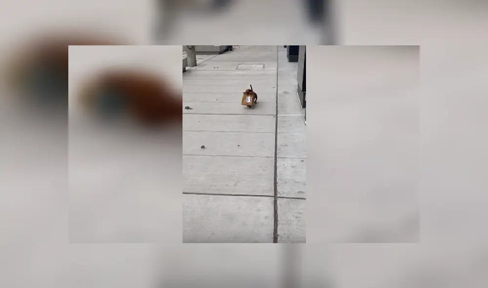 Desliza para ver los detalles del video viral publicado en YouTube. Foto: Captura. Desliza para ver los detalles del video viral publicado en YouTube. Foto: Captura.