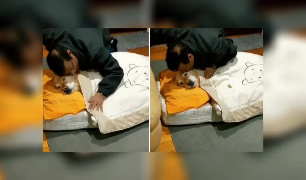 Desliza hacia la izquierda para ver más imágenes de esta conmovedora escena. (Foto: captura / TikTok)