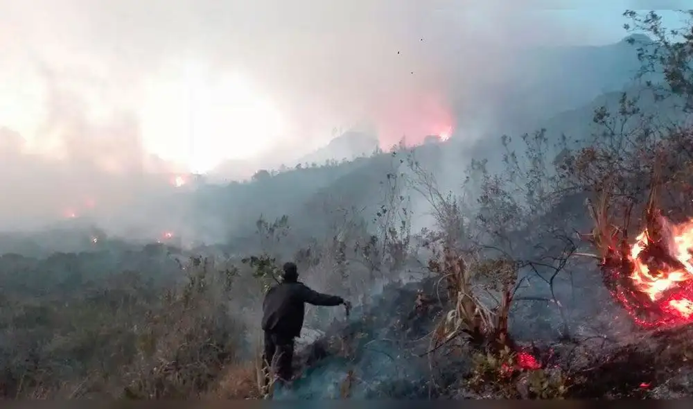 Cajamarca: incendio consume hectáreas de bosque en San Marcos